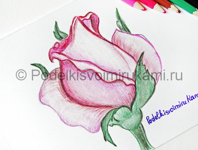 Рисуем красивую розу цветными карандашами - фото 26.