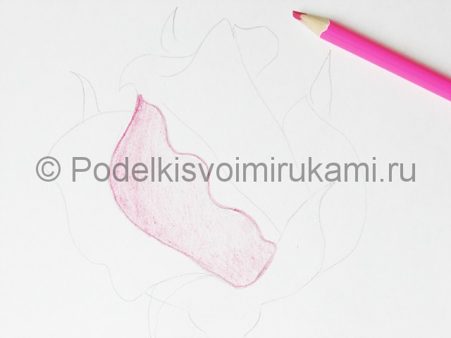 Рисуем красивую розу цветными карандашами - фото 7.