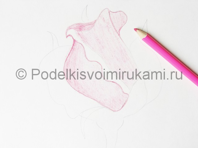 Рисуем красивую розу цветными карандашами - фото 8.